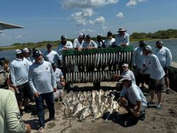 Large fishing catch displayed on dock with multiple fish species in Corpus Christi TX