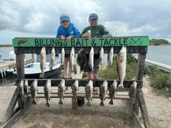 Fishing display rack showing redfish, black drum, speckled trout and southern flounder catch from Corpus Christi Texas