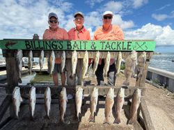 Fishing display showing redfish, speckled trout, and black drum catch from Corpus Christi TX