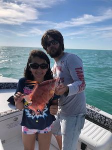 Hogfish thrills await on St. Petersburg!