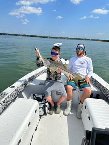 Snook frenzy on St. Petersburg fishing adventures!