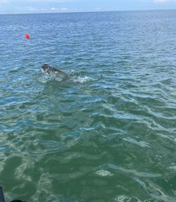 Scenic view of the bay in Bay Pines