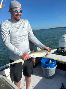Caught a Bull Shark while fishing in FL