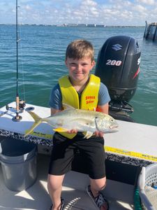 Common Fish In Tampa Bay