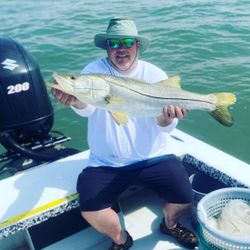 Snook Fishing Tampa Bay