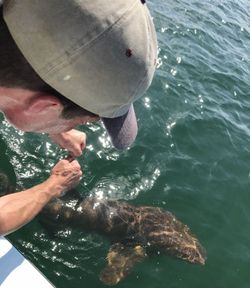Fishing at the scenic Bay Pines location