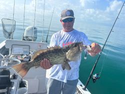 Gag grouper fish caught by angler in Bay Pines