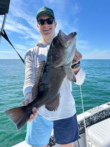 Gag Grouper fish caught in Bay Pines