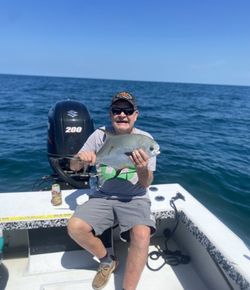 Permit fish caught in Bay Pines