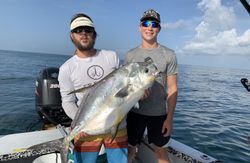 Permit fish caught while fishing in Bay Pines