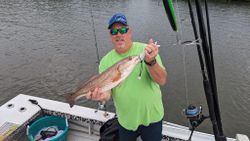 Redfish caught in Bay Pines