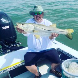 Snook fish caught in FL, fishing