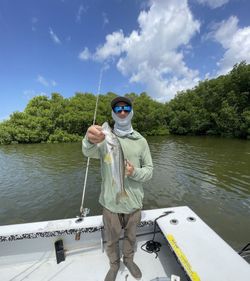 Snook fishing in FL