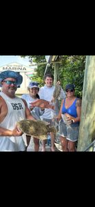 2 summer flounder fish caught in FL