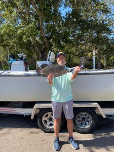 Tripletail fish caught while fishing in FL
