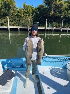 Two red grouper fishing in FL