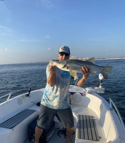 Snook fishing in FL