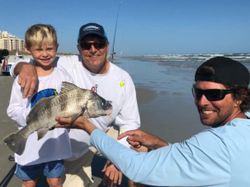 Black Drum fish caught while fishing in Port Orange