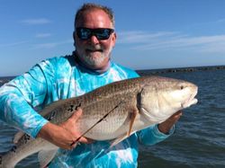 Lovely Snook in display!