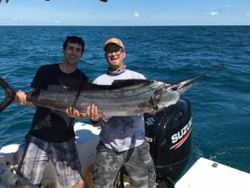 One Big  Catch! Beautiful Marlin!