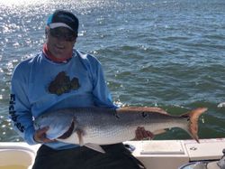 One person fishing in FL