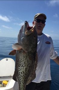 Gag Grouper fish caught while fishing in FL