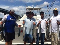 5 king mackerel, bluefish, and wahoo fish caught in FL