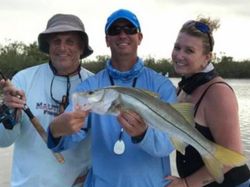 A single Snook fish being caught in Florida