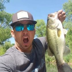A largemouth bass caught while fishing in Arizona