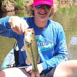 Largemouth Bass caught fishing in Cottonwood