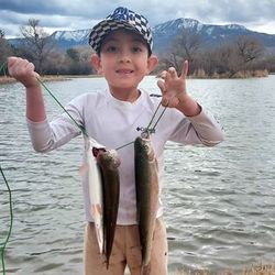 Two fishing rods with location AZ