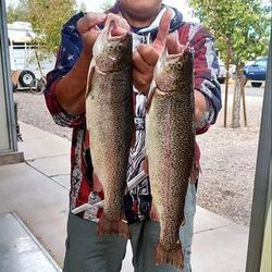 Two rainbow trout caught while fishing in Arizona