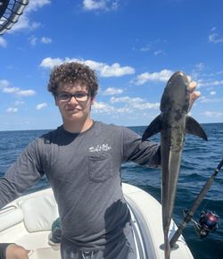Lone angler fishing on the river in GA