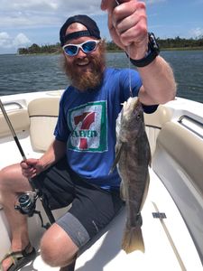 One angler fishing in GA