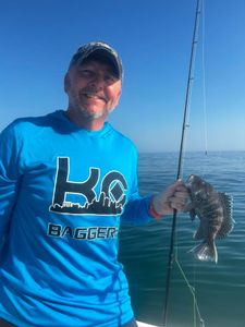 Black sea bass caught during fishing charter in Midway GA