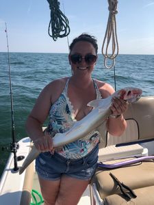 Bonnethead shark fishing in Midway
