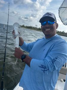 Bonnethead shark caught while fishing in GA