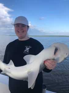 Bonnethead shark fishing in GA