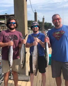 4 king mackerel and cero mackerel fish caught off the coast of Midway