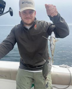 Two fish caught on fishing tour in Midway