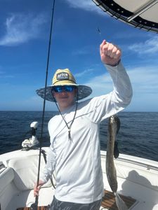 Fishing in Georgia with a single 20-inch fish