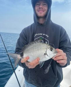 A person fishing in Midway