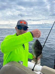 A fishing tour in Midway