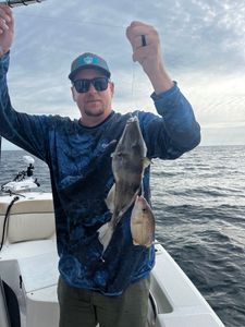 Two fish caught on a fishing tour in Midway