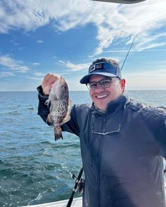 Gag Grouper fish caught while fishing in GA