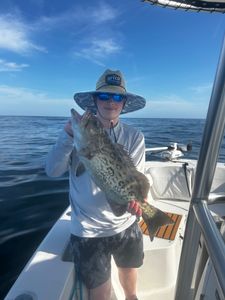 Photograph of a gag grouper, a large fish caught while fishing in GA.