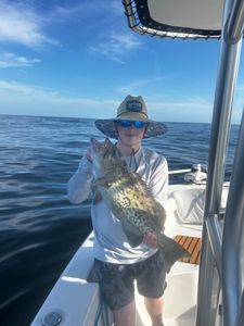 A photograph of a gag grouper, a 22-inch saltwater fish caught during a fishing tour at Midway.