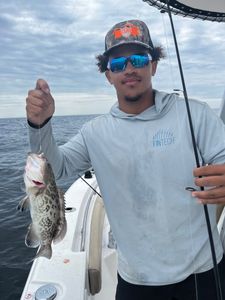 A gag grouper fish caught during a fishing tour in GA
