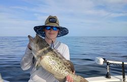 Gag grouper in GA