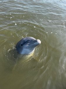 Fishing in Georgia